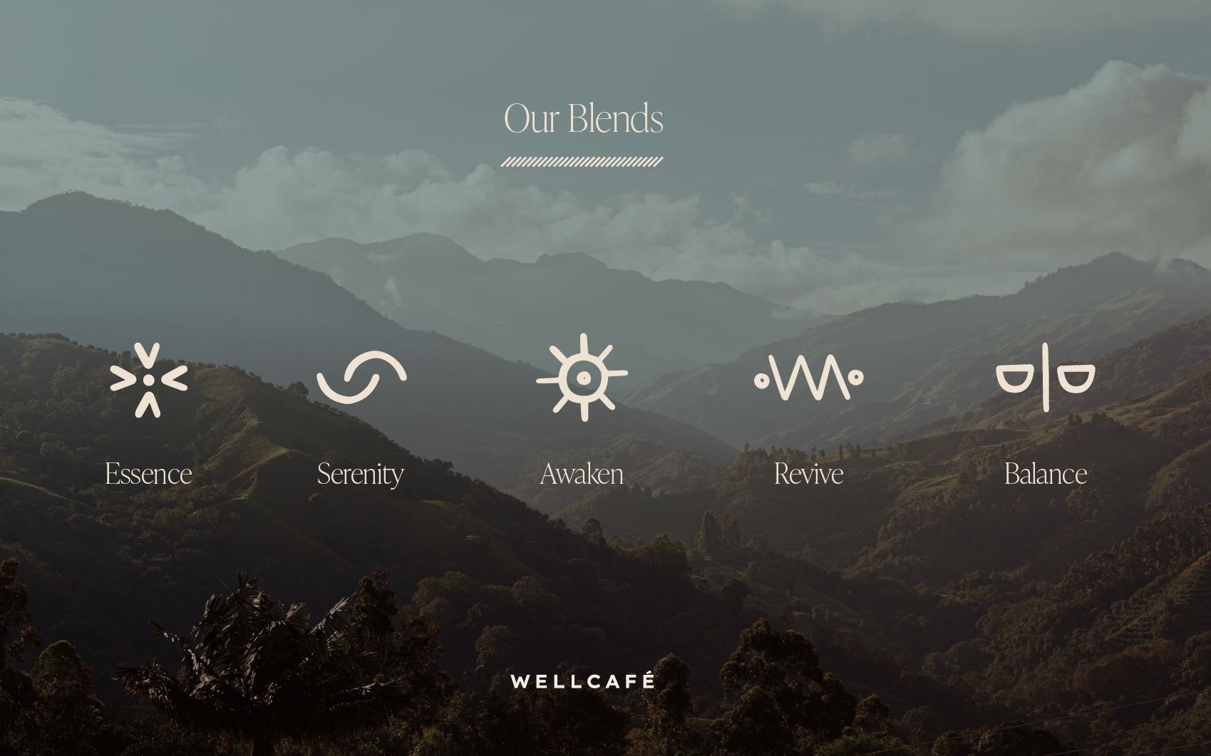 Wellcafé Blends